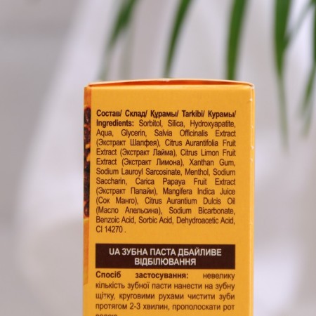Toothpaste careful whitening of the papaya series "Doctor Fresh", 75 ml-3