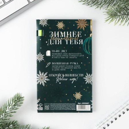 New Year. Set of "Fairytale New Year": Planing styles 30 liters, pen Plastic-4