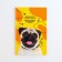 Veterinary Passport International "MOPS"