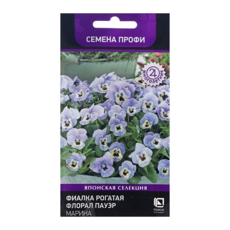 Flower seeds violet "Floral Power Marina", 10 pcs