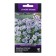 Flower seeds violet "Floral Power Marina", 10 pcs