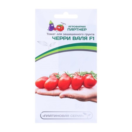 Seeds Tomat Cherry "Valya", F1, 5 pcs