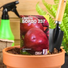 Bordeaux 237 beets seeds, 1 g