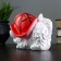 Piggy bank "Casket" 16x9x11cm