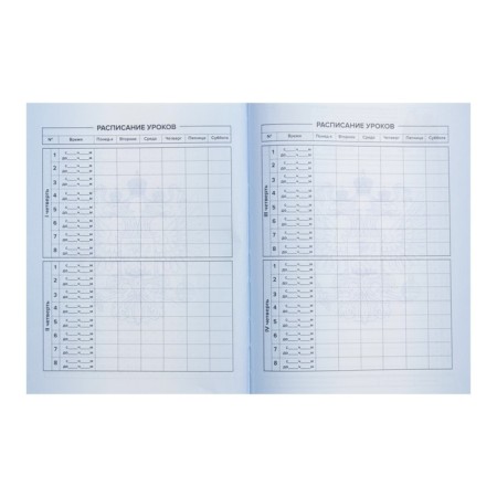 The diary is universal, for grade 1-11, "tirade", a solid cover, glossy lamination, an offset unit, a universal cheat sheet, 48 sheets-6