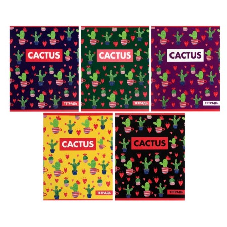 A set of notebooks of 5 pieces, 36 sheets in the Calligrata cactus cage, covered cardboard, offset block-1