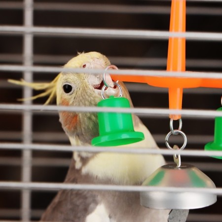 Toy for birds with bell No. 2 Mix flowers-1