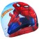 A spider-hawk cap, a head of a head 46-50 cm.