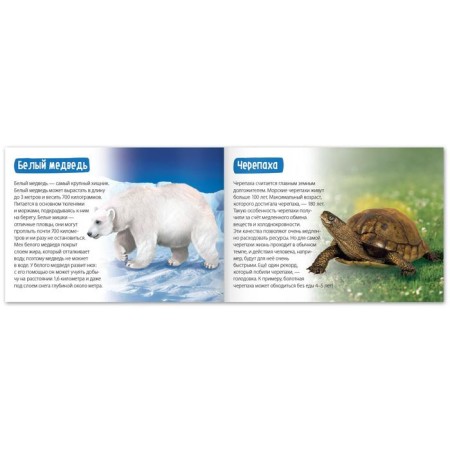 The training book "Animal Records", 20 p.-2