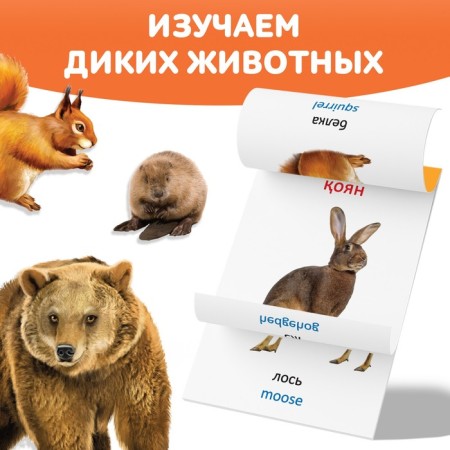 Book on the methodology of G. Doman "Wild Animals", in the Kazakh language-2