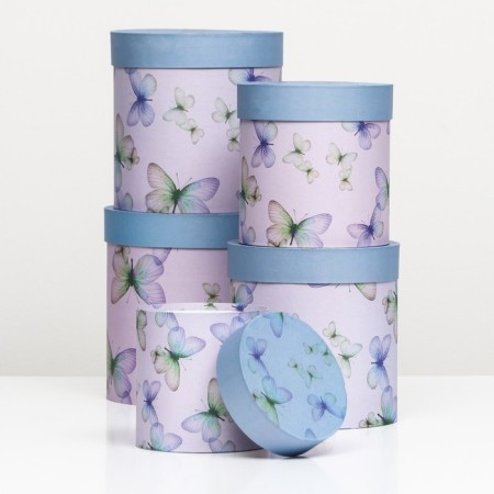 Set of round boxes 5V1 "butterflies", 25 × 25 –15 × 15 cm-1