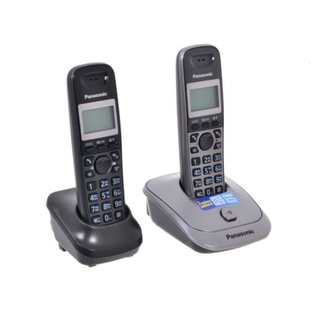 Radio Telphone Dect Panasonic KX-TG2512RU1 Gray metallic