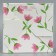 Gift box for flowers with PVC lid, packaging, “educator”, 12 x 12 x 12 cm
