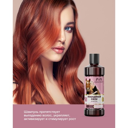 Horse shampoo for dyed and damaged hair with collagen Ilanolin, biotin, 500 ml-3