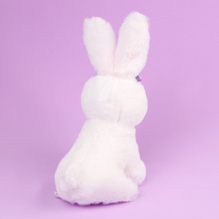 Napchik children with a soft toy "Bunny"-4