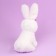 Napchik children with a soft toy "Bunny"