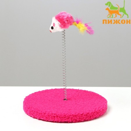Teaser on the basis of "Koshkin Joy", 15 cm, mix of flowers