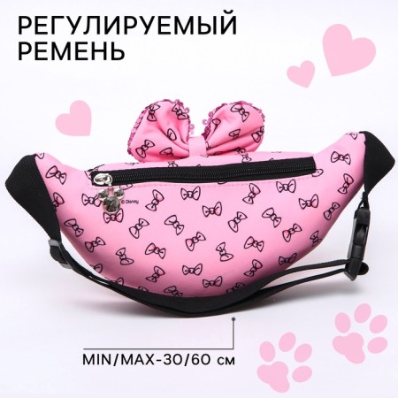 Barry Bag, 25x6x13 cm, cats aristocrats-5