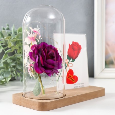 Photo frame 9x13 cm Light "Violet rose in a flask" from batteries 2xlr1130 9.8x19.5x18 cm-2