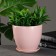 Flower pot "Jaraldine" 1.4l