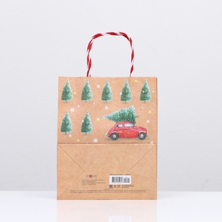 Gift Package "Christmas tree Forest" 18 x 22.3 x 10 cm-3