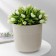 Kashpo for flowers with an insert "Linel", 2.7 l, d = 16 cm, h = 16 cm, beige color