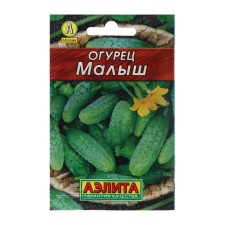 Seeds of cucumber 
