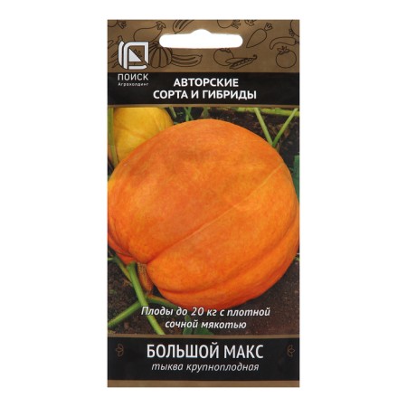 Large -fruited pumpkin seeds "Big Max", 10 pcs