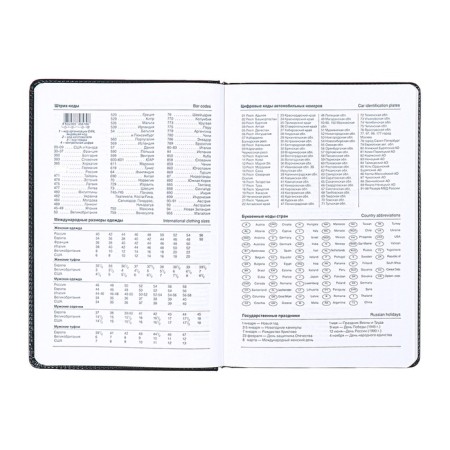 The diary is low, the PVC cover, A5 format, 140 l, cell, with a strap, black-8