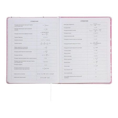 Universal diary for grade 1-11 Kitty, hard cover, artificial leather, foam rubber, lies, 80 g/m2-10
