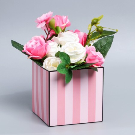 Gift box for flowers with PVC lid, packaging, pink stripes, 12 x 12 x 12 cm-1