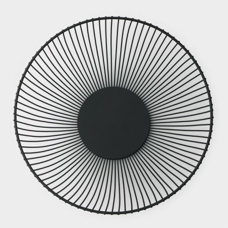 Dilyana fruit, 24.5 × 24.5 × 14 cm, black color-1