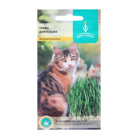 Seeds grass for cats, 10 g
