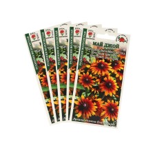 Seeds of flowers Rudbekia 