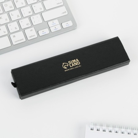 Pen in the case "success in everything", metal-2