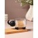 Organizer for cotton sticks and disks "Elephant", with a lid, 15.4 × 7.5 × 8.5 cm, transparent/black