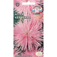 Flowers of Astra 