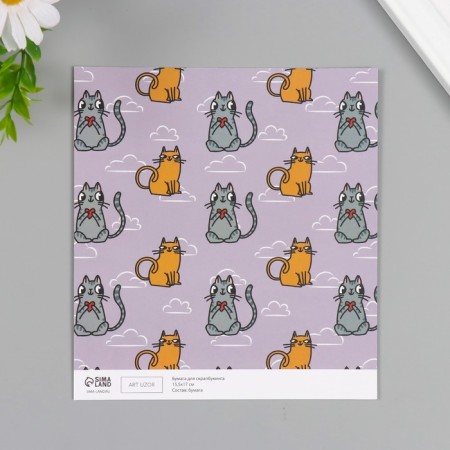 Scrapbooking paper bilateral "cats" density 180 grams set 10 pcs 15.5x17 cm-3