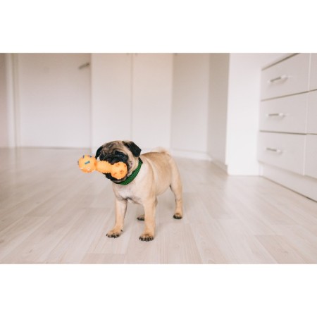 Brying toy "dumbbells with paws" for dogs, 13 cm, green-3