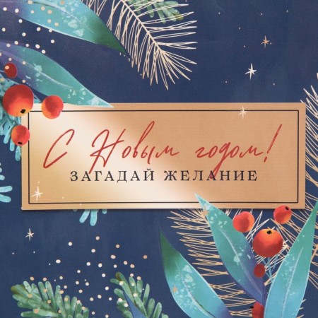 Laminated vertical package “Make desire”, MS 18 x 23 x 8 cm, New Year-3