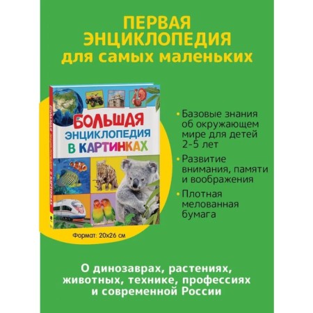 Big Encyclopedia in Pictures-1