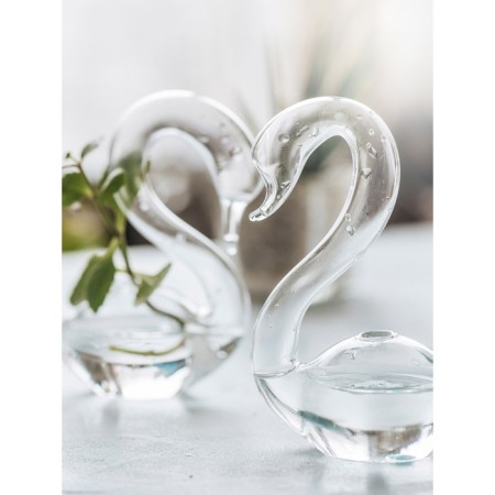 Glass Vase "Swans", 2 pcs, the color is transparent-4
