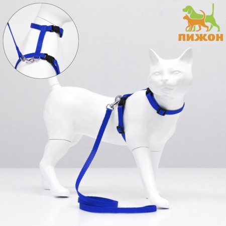 Kit for cats, width 1 cm, Osh 16.5-27 cm, fire 21-35 cm, leash 120 cm, blue