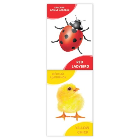 Books developing the set “We grow together. English ”, 20 p.-1