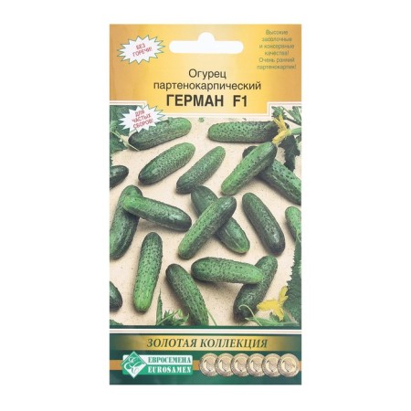 Seeds Cucumber Partenocarpic German F1, 5 pcs