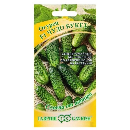 Seeds of cucumber "Miracle bouquet" F1, super -someroye, parthenocarpic, 10 pcs.