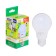 LED LED JAZZWAY, A60, E27, 11 W, 880 LM, 5000 K, PLED-ECO