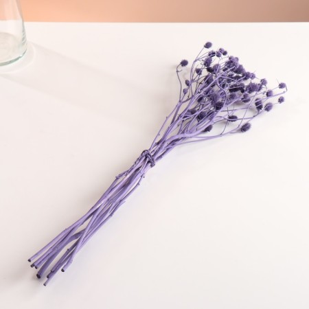 A set of dried flowers "Eringium", a ban 5 pcs, length 50 (+/- 6 cm), purple-3