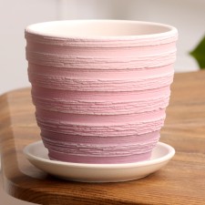 Pot Flower Boule up Pink Crocus No. 1, 0.7 L, D - 11.7 cm