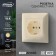 Single Luazon Lighting "Antei", 16 a, hidden, with salary, beige